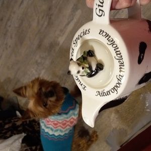 Endangered Giant panda porcelain tea pot new